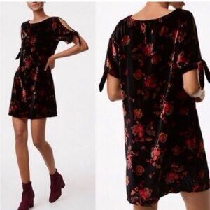 NWT LOFT Velvet Floral Shift Mini Dress Size MEDIUM Open Tie / Cold‎ Shoulder